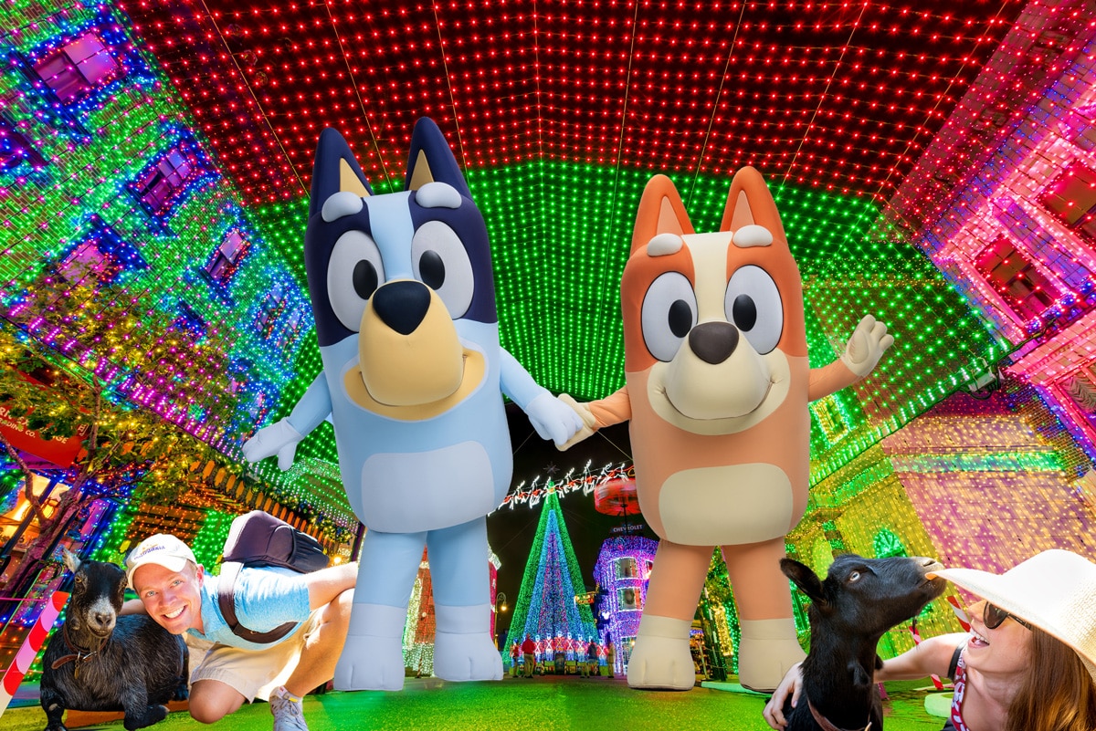 Your Guide to Bluey & Bingo Experiences at Disney World & Land